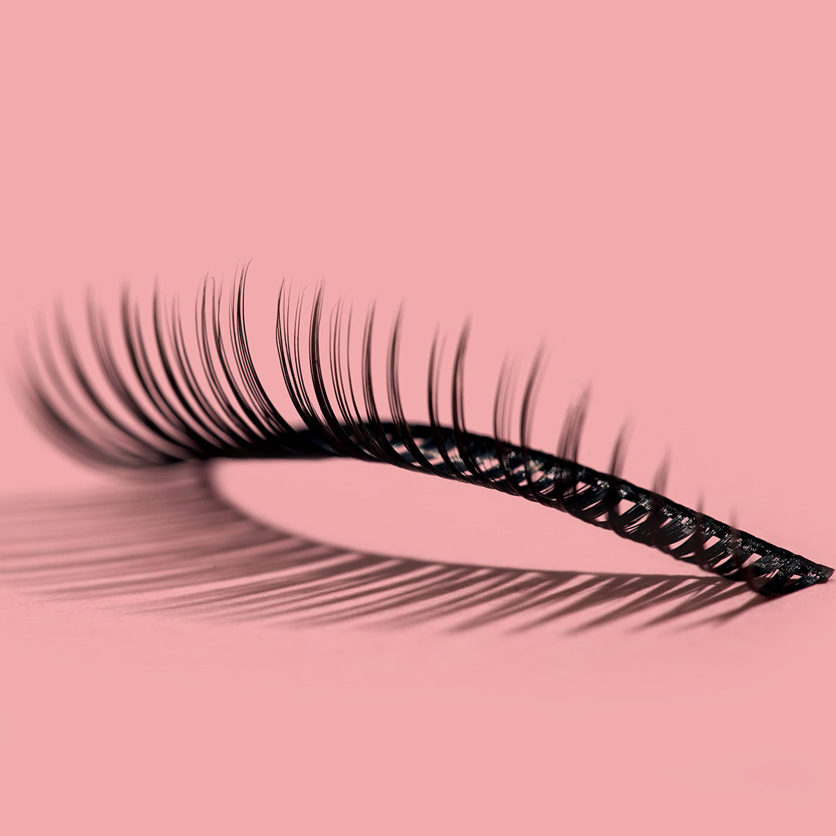 5D Mink Lashes